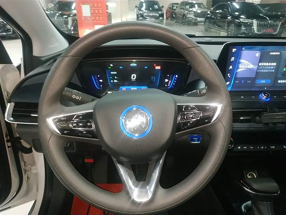 Buick Slightly blue 6