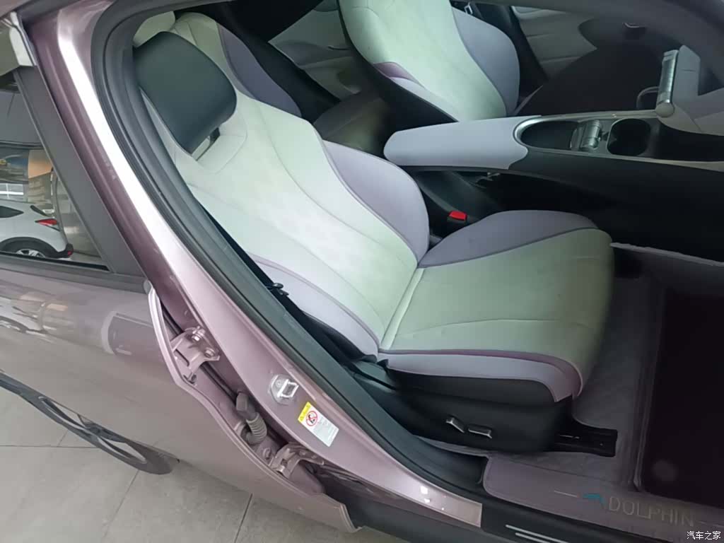 BYD Dolphin, 2024 25
