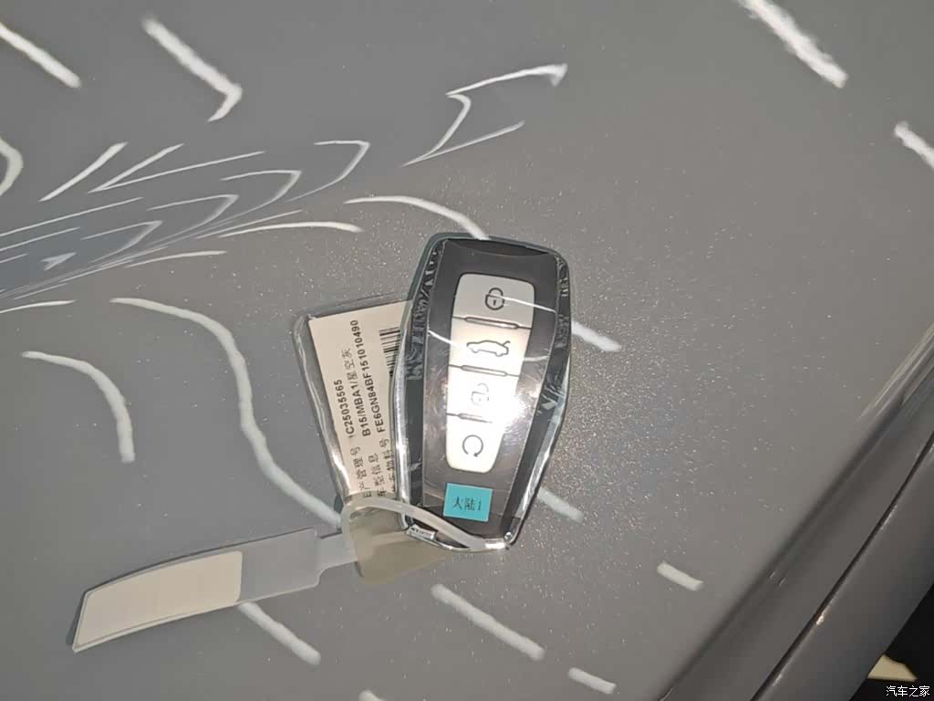 Geely Binray, 2026 9