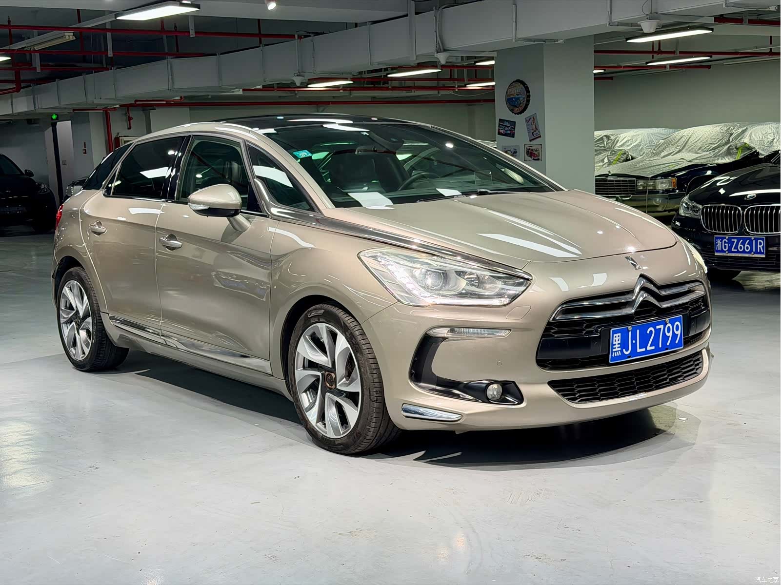 DS 5, 2014 все фото