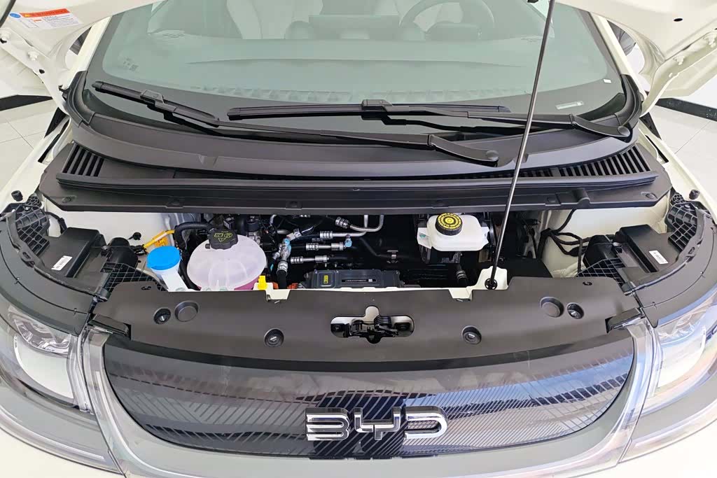 BYD Dolphin, 2026 10