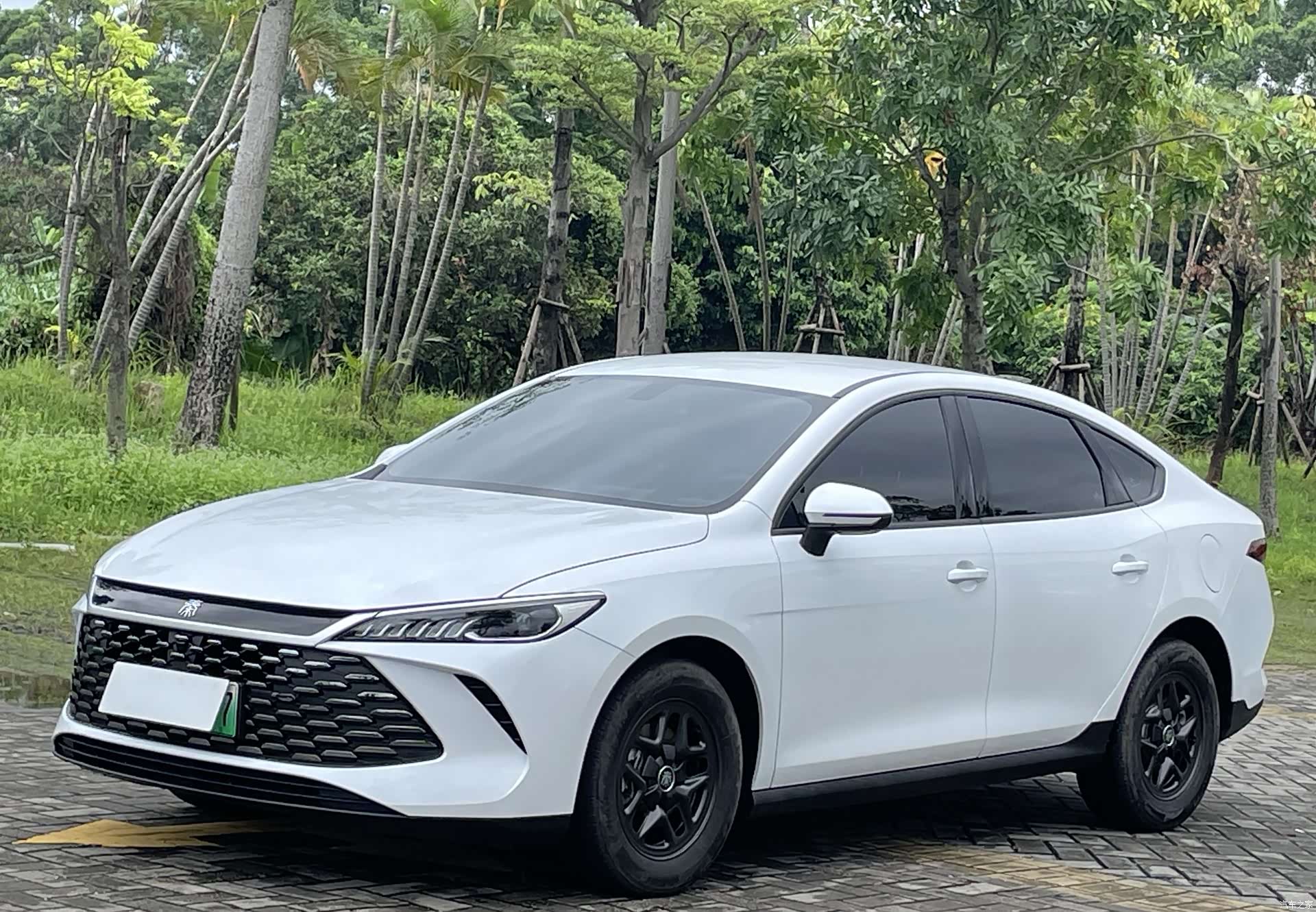 BYD Qin, 2025 2