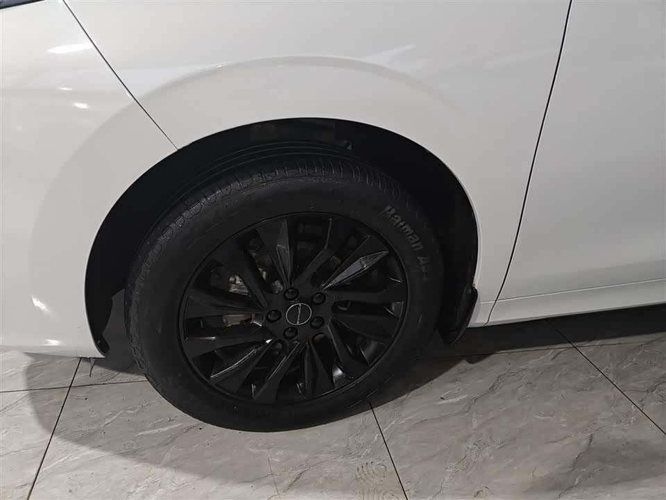 Forthing Popular T5 EVO