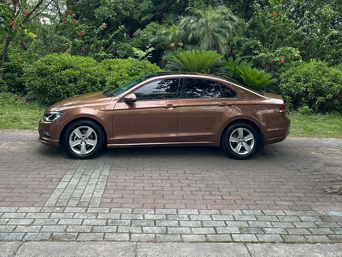 Volkswagen Lamando, 2018 3