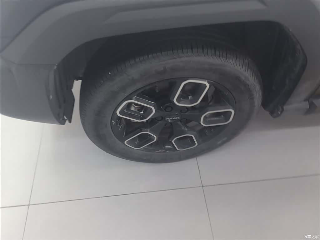 Haval Cool Dog, 2022 25