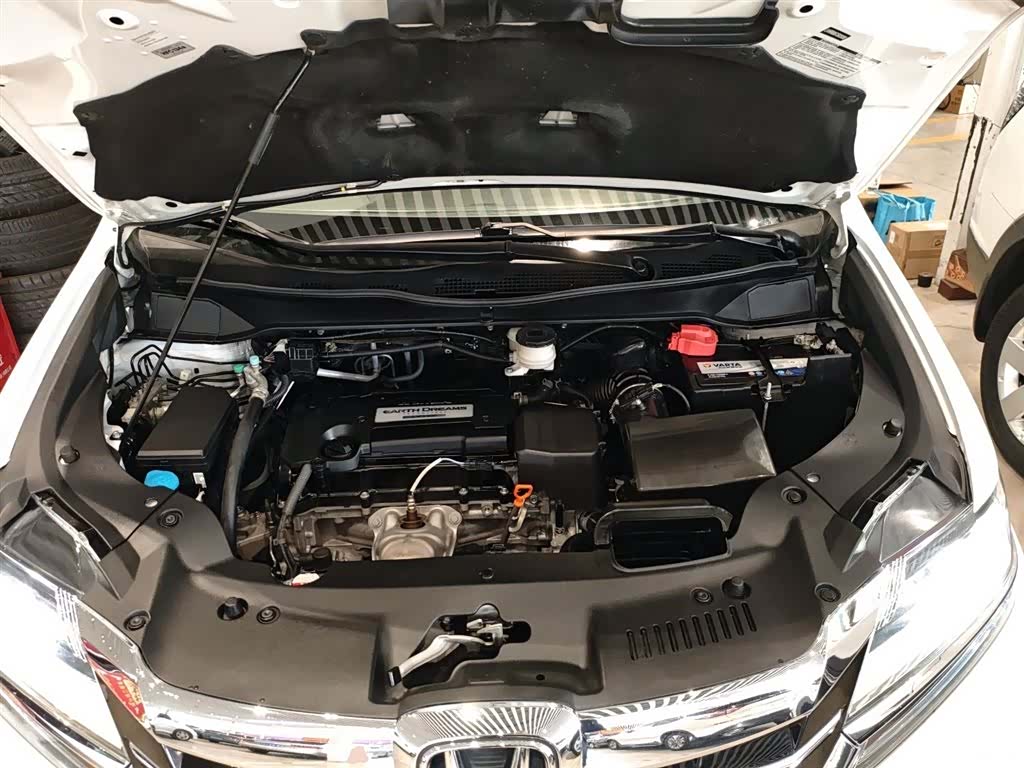 Honda Elysion, 2018 14
