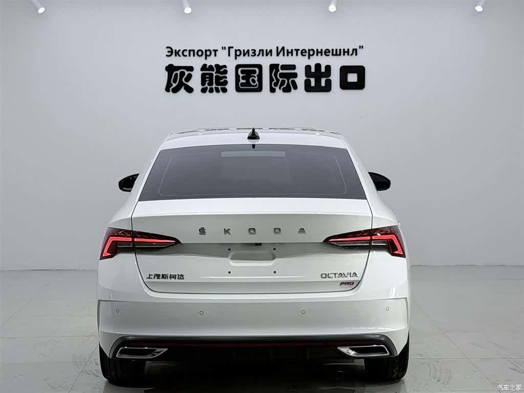 Skoda Octavia, 2023 все фото