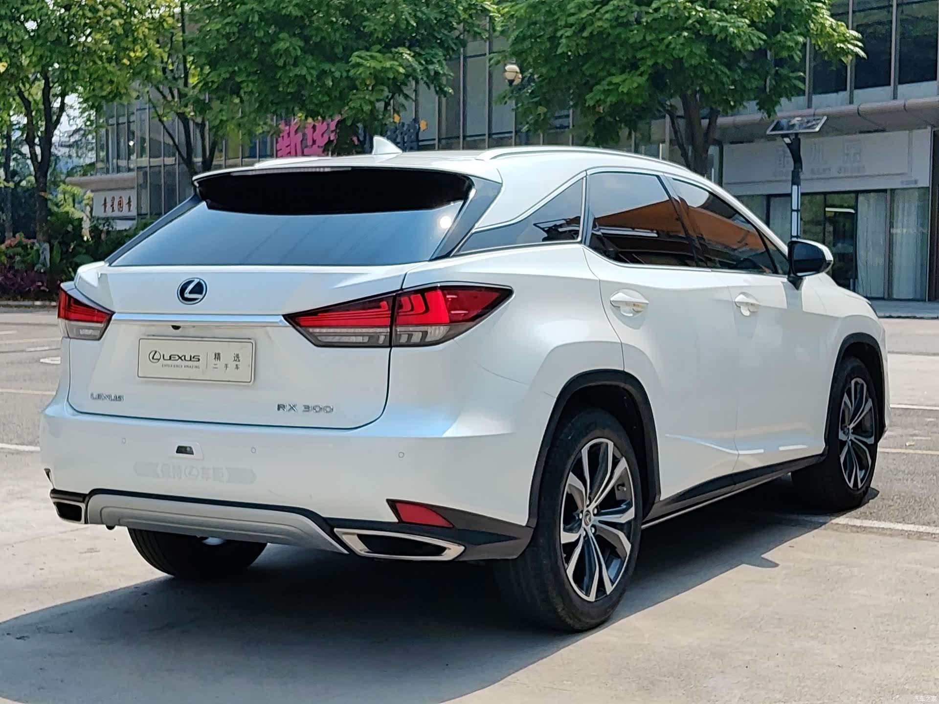Lexus RX, 2021 6