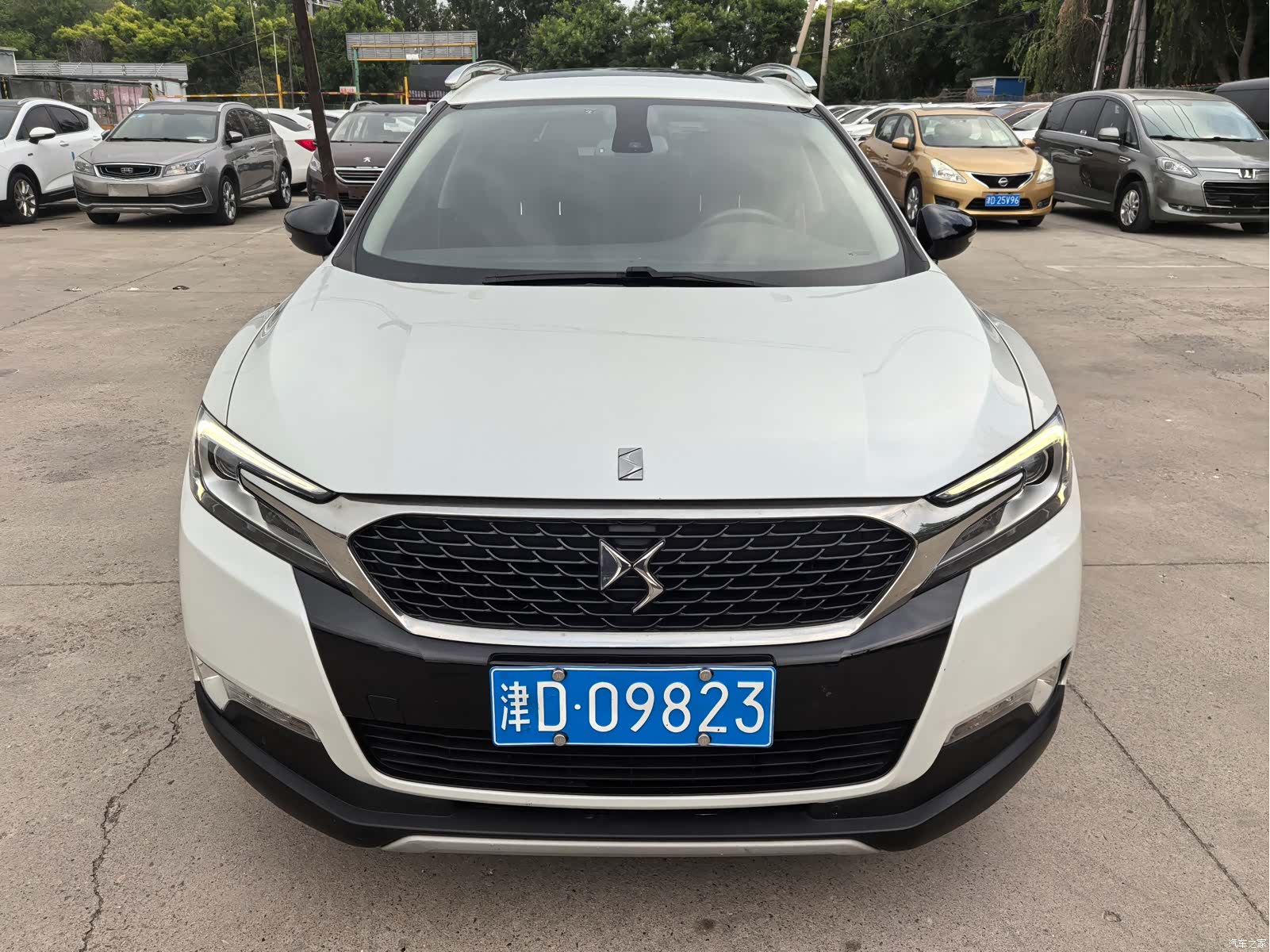 DS THP160, 2016 2
