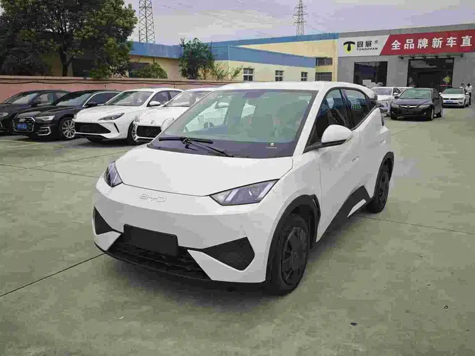 BYD Seagull
