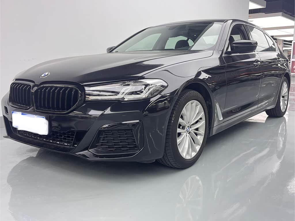 BMW 5 Series 5 2018 530Li Lead Luxury