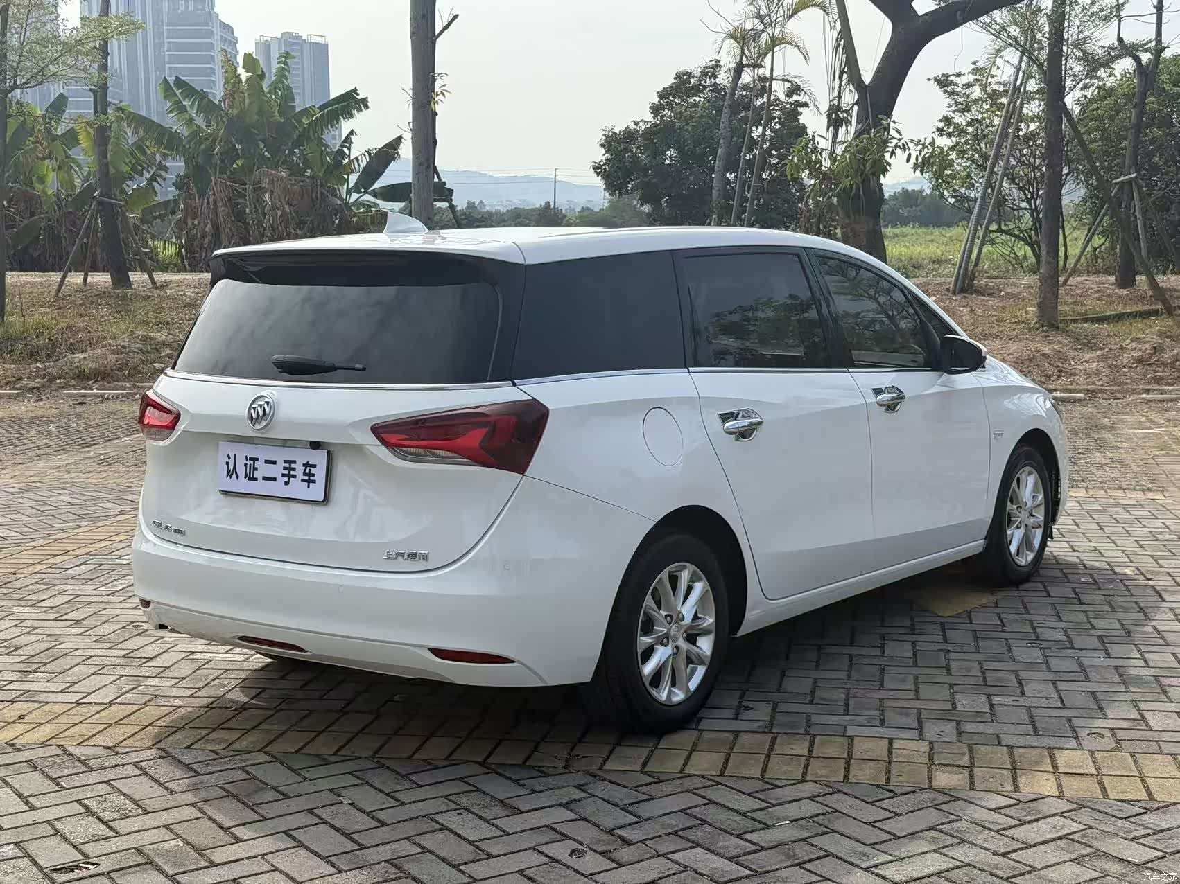 Buick GL6, 2019 9