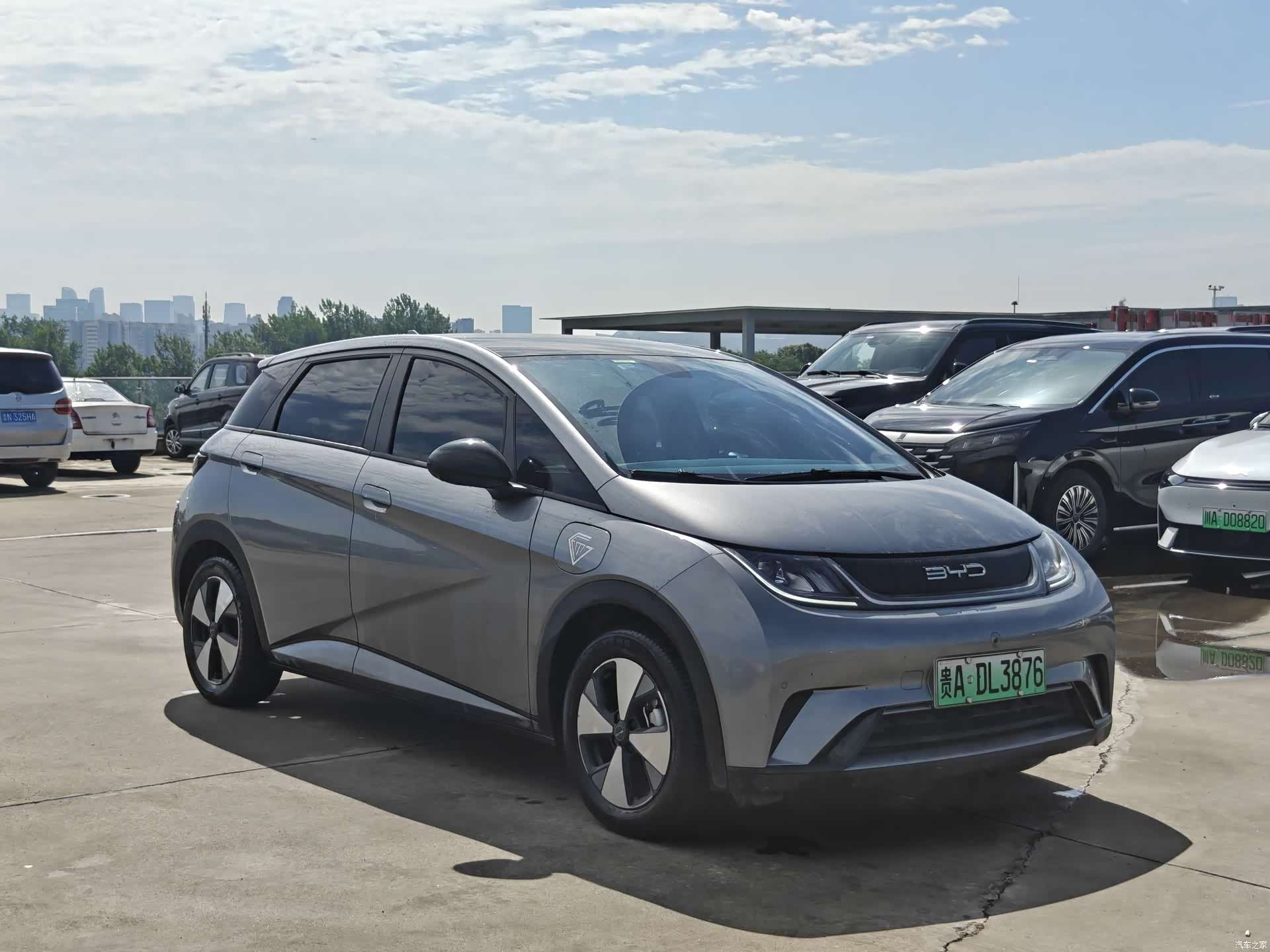 BYD Dolphin, 2024 3