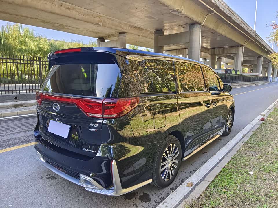 Trumpchi Trumpchi M8