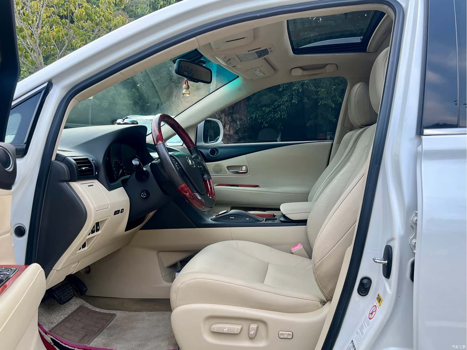 Lexus RX, 2010 8