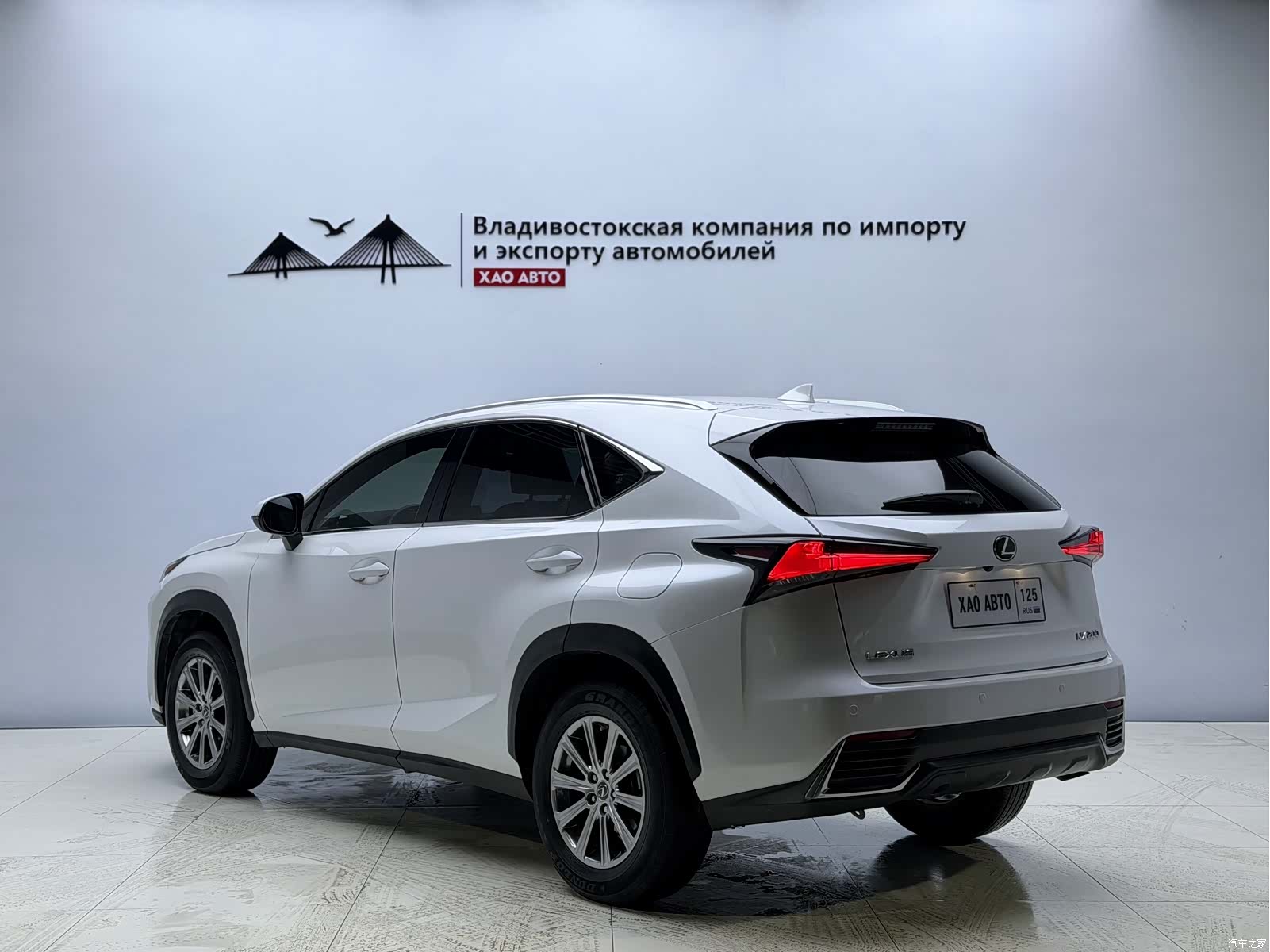 Lexus NX, 2019 4