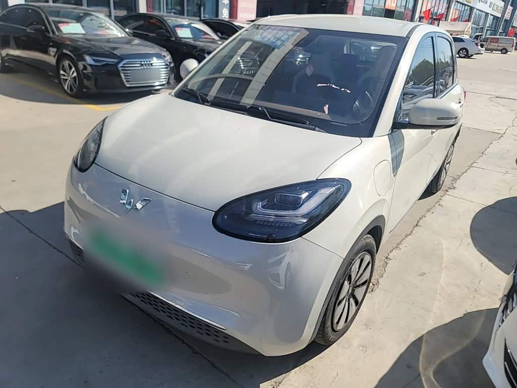Wuling Binguo 2023 333km +