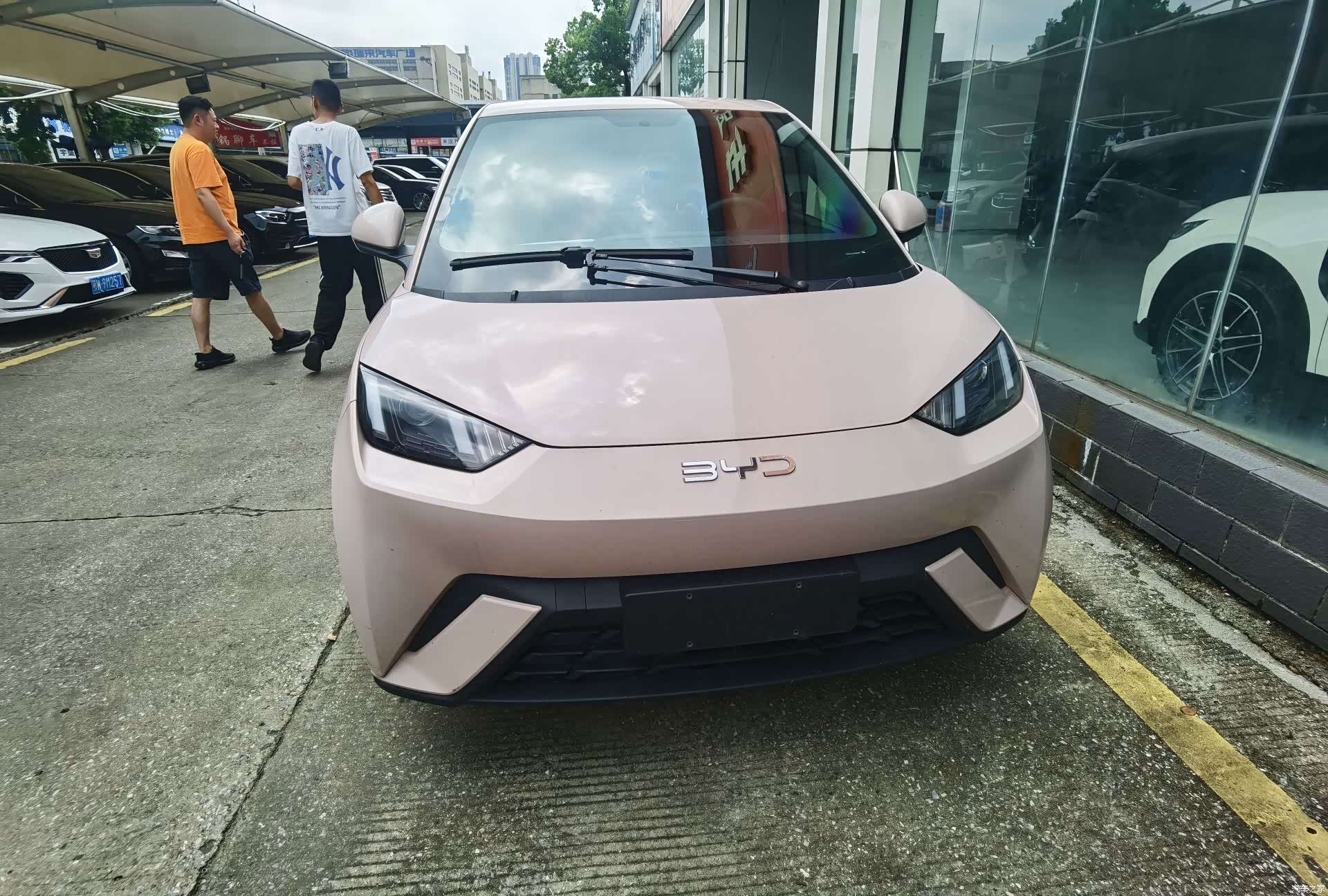 BYD Seagull, 2025 2