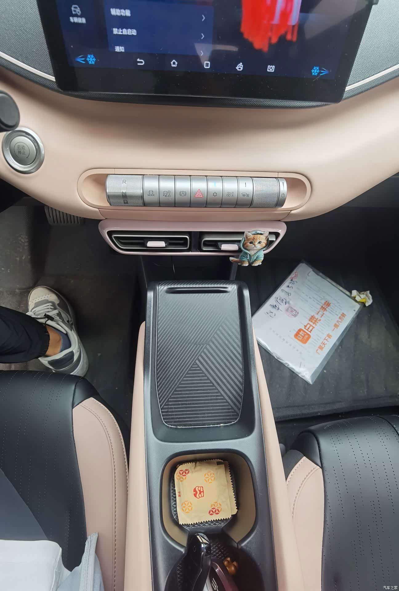 BYD Seagull, 2025 10