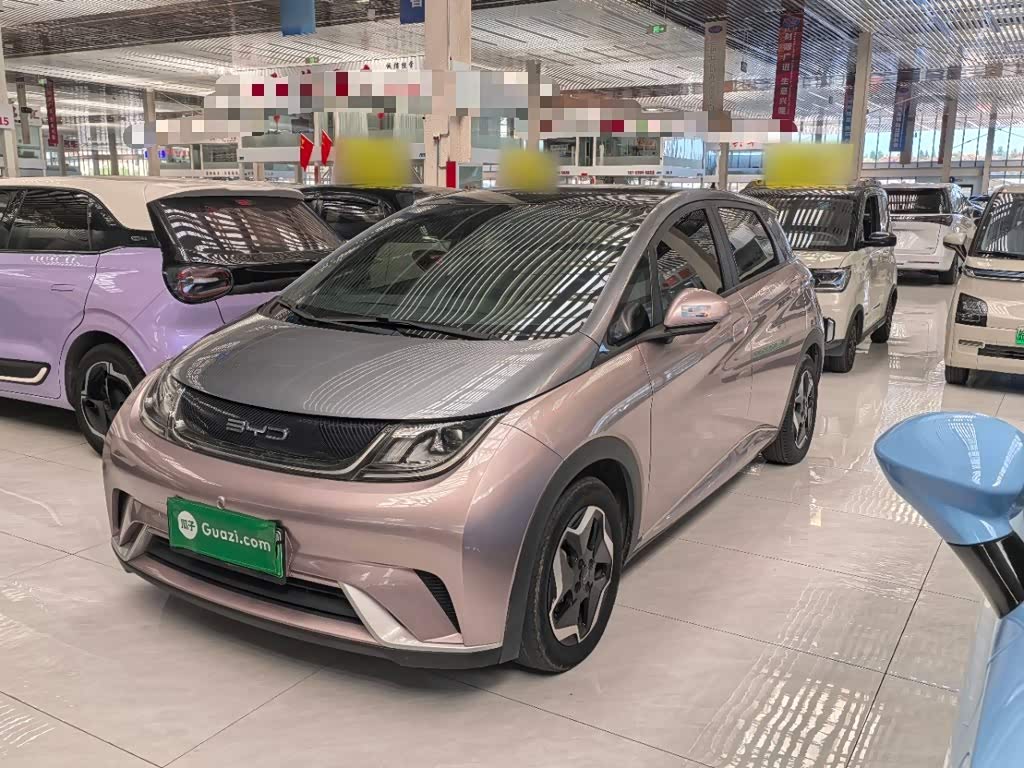 BYD Dolphin