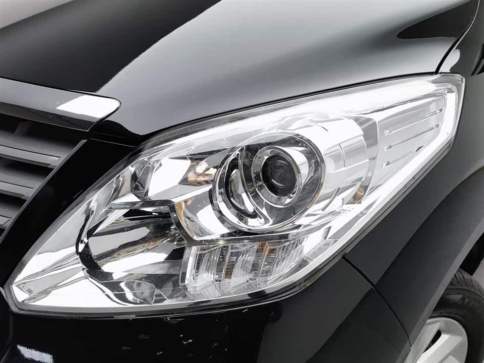 Forthing Lingzhi PLUS