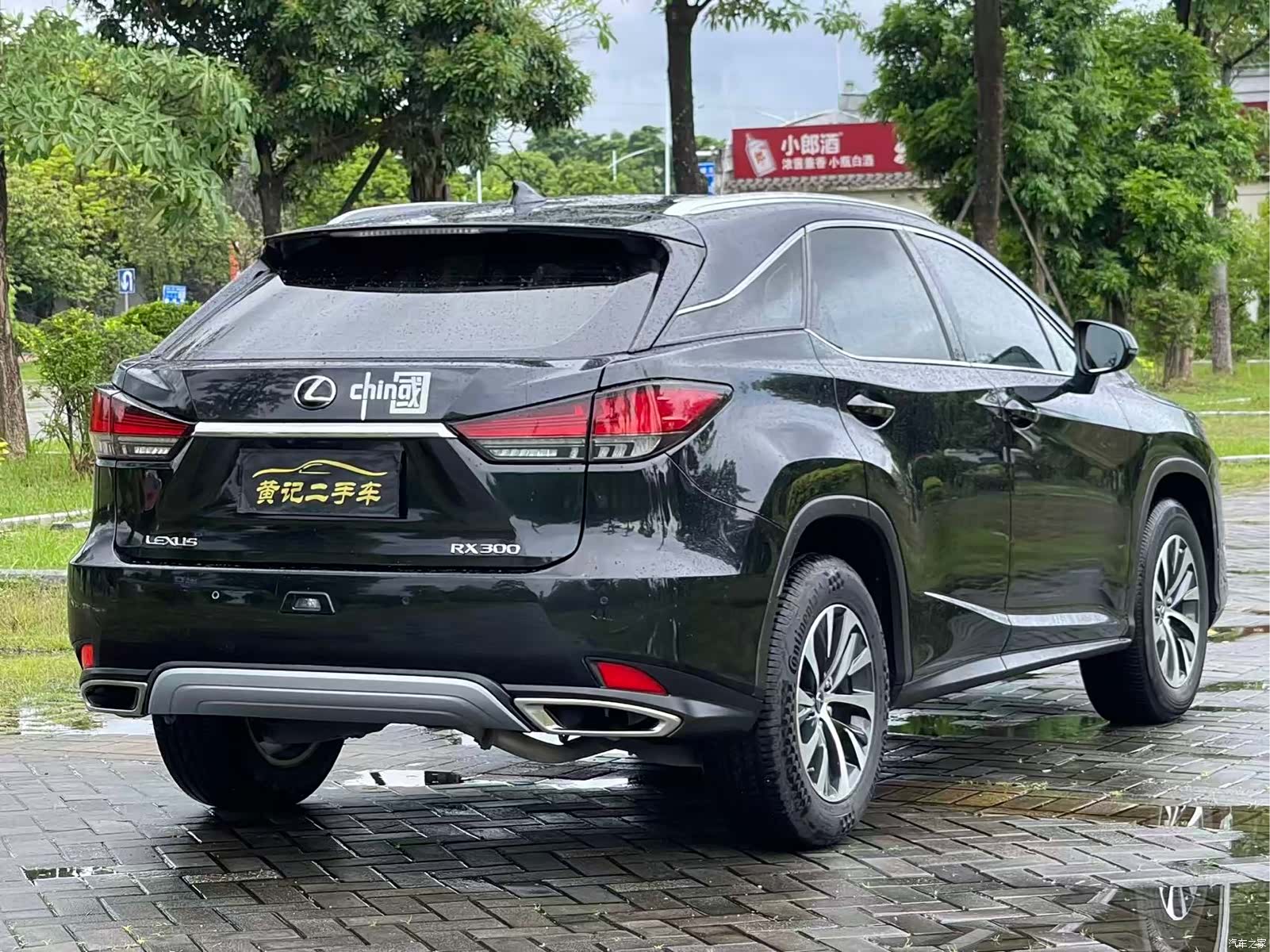 Lexus RX, 2020 все фото