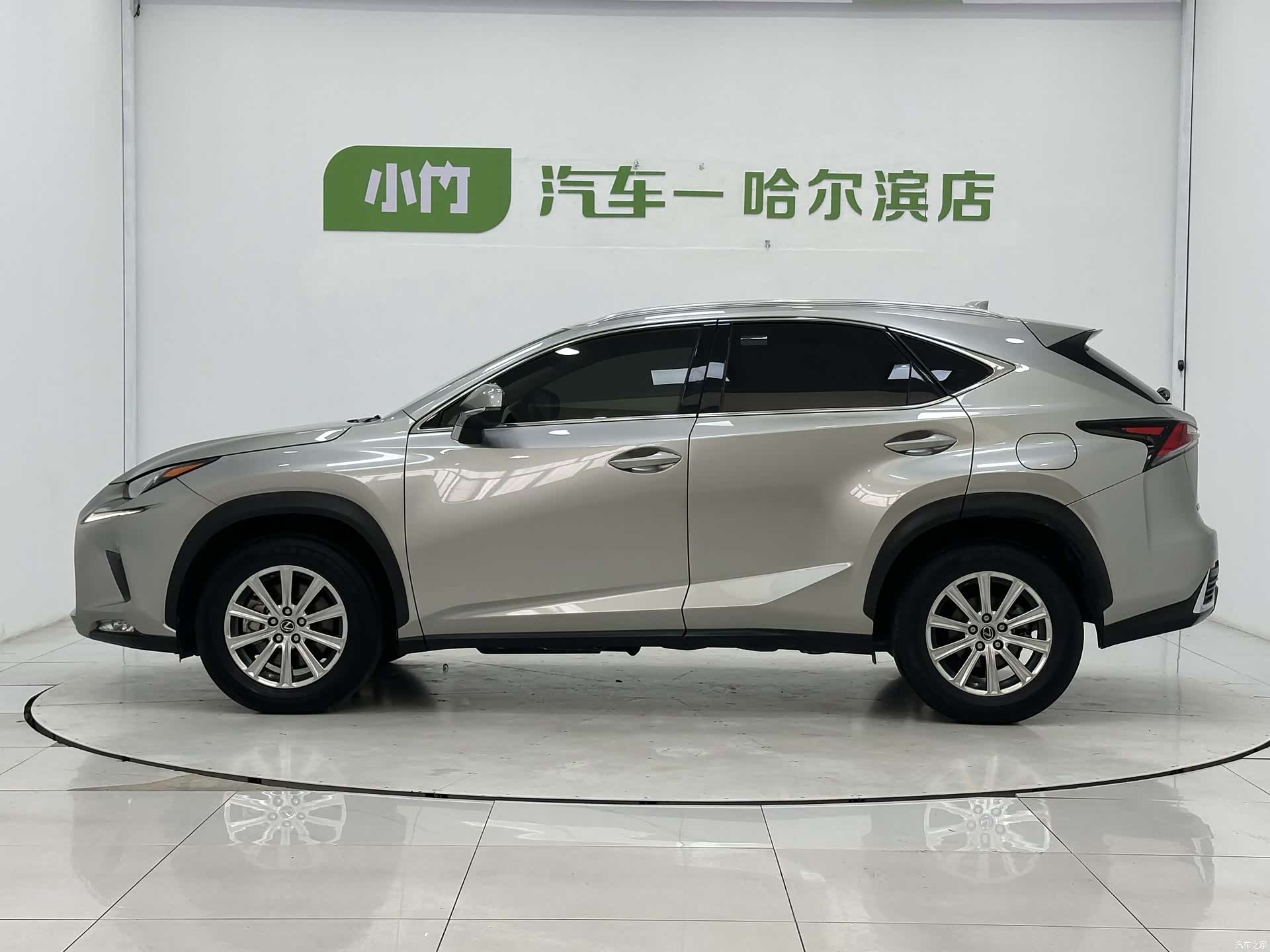 Lexus NX, 2021 все фото