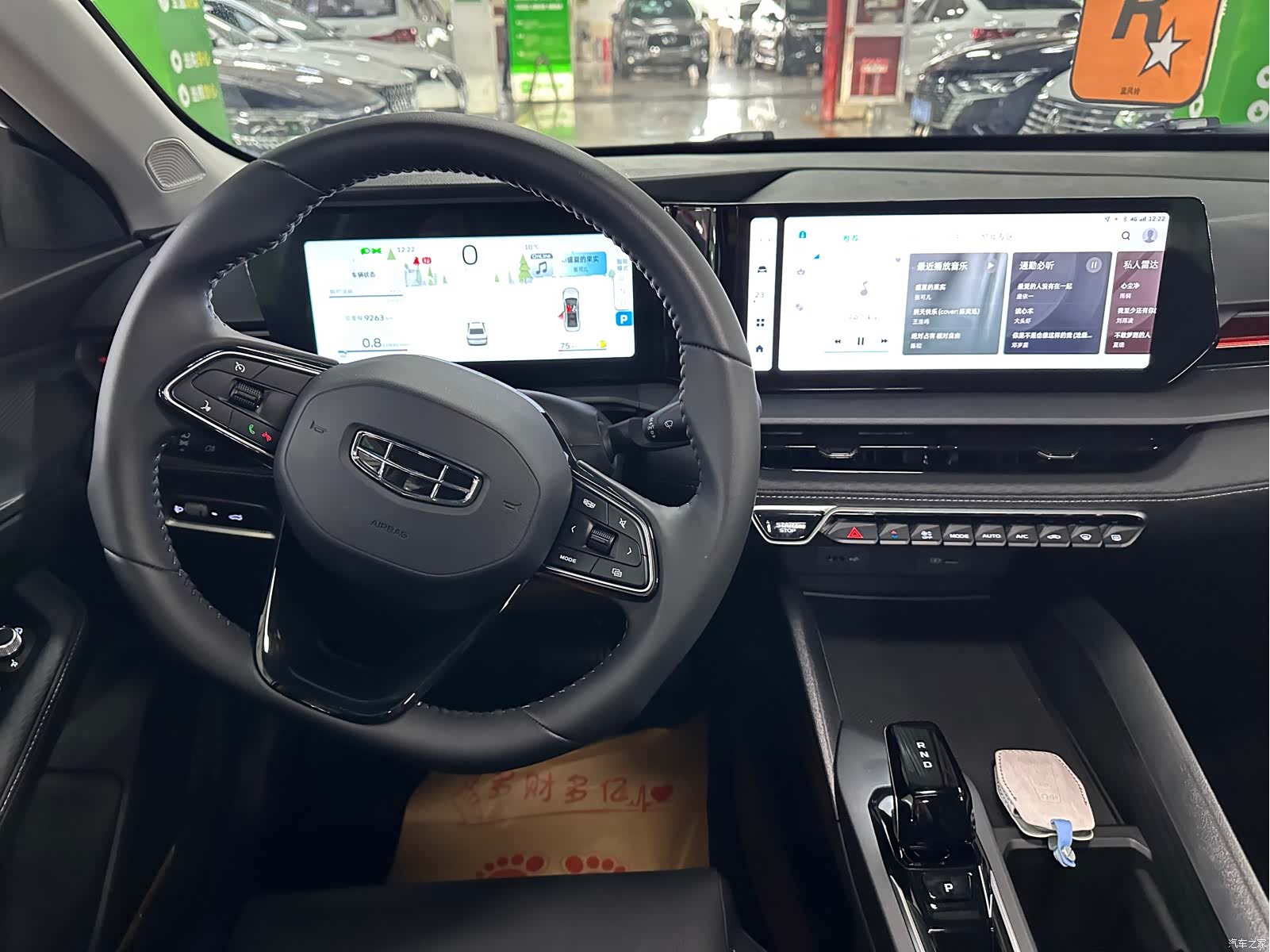Geely Binray, 2024 18
