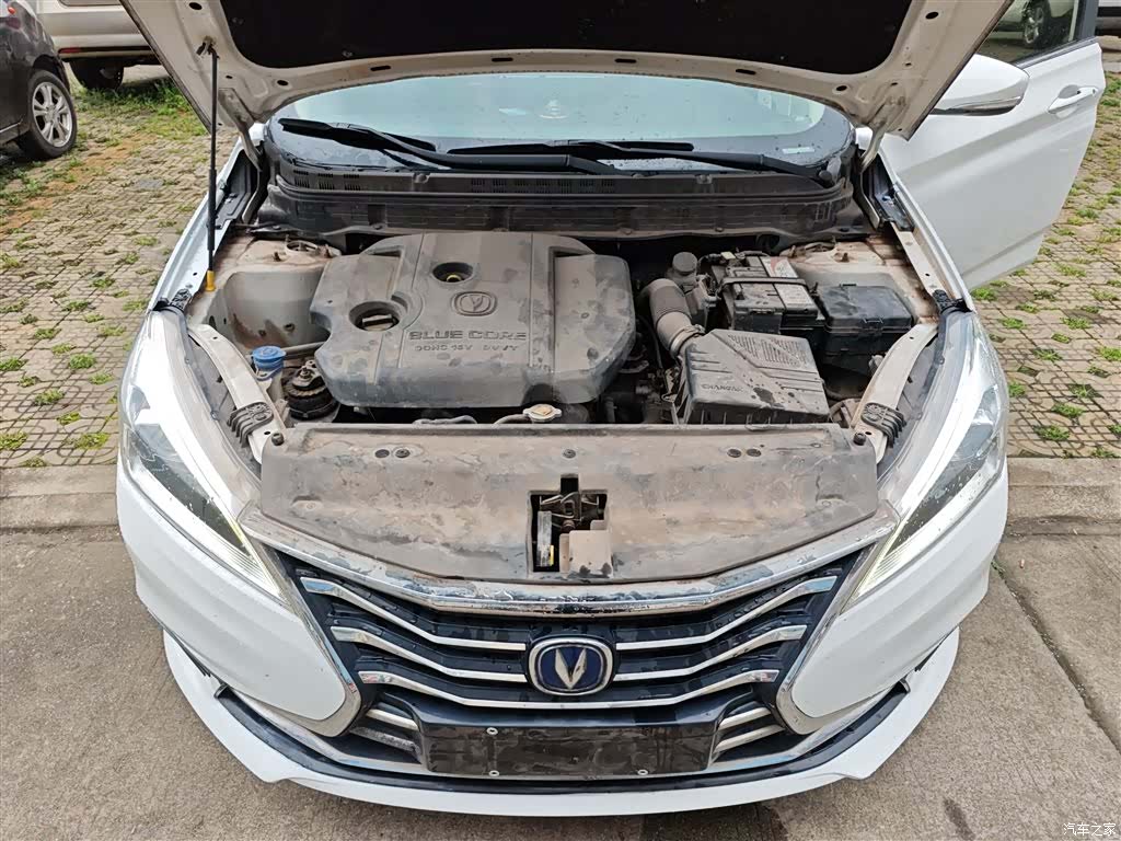 Changan Eado, 2019 19