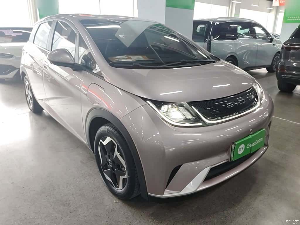 BYD Dolphin, 2023 4