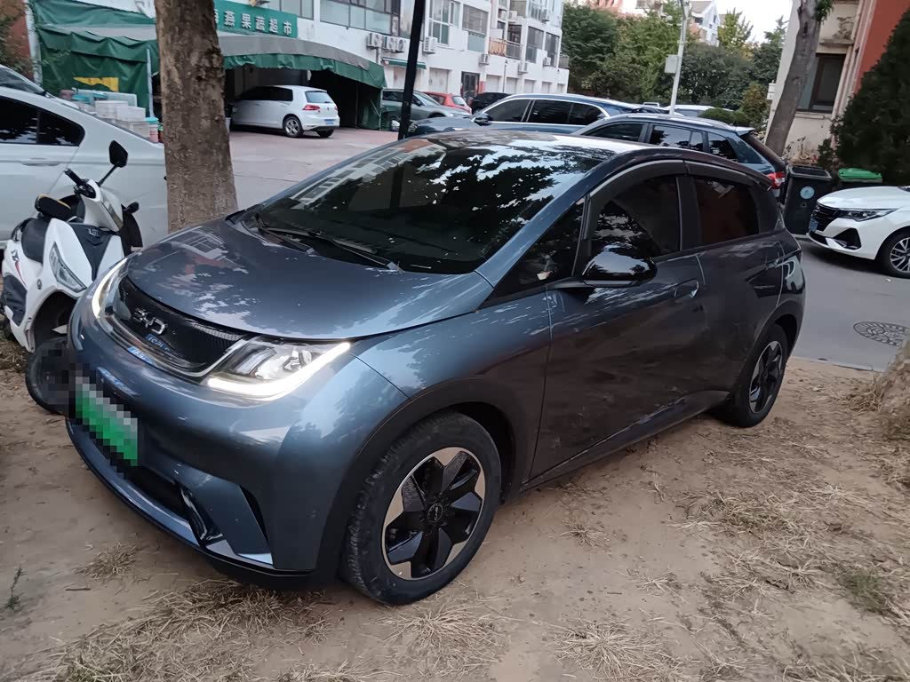 BYD Dolphin