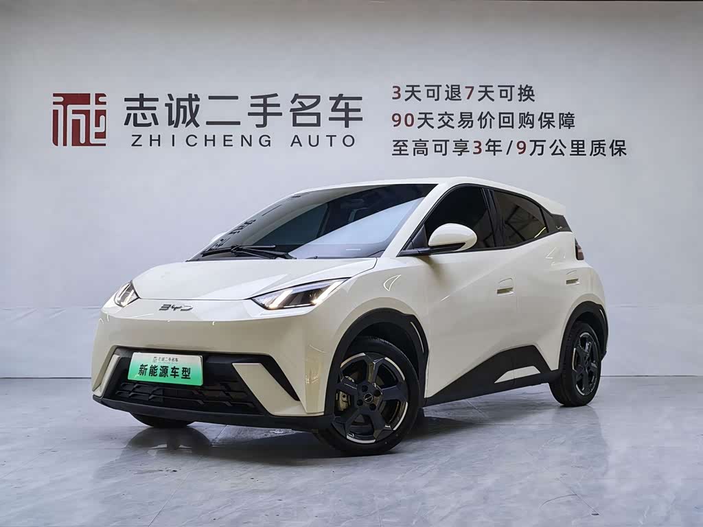 BYD Seagull 2024 305km Freedom