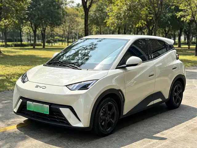 BYD Seagull 2023 — купить из Китая под заказ