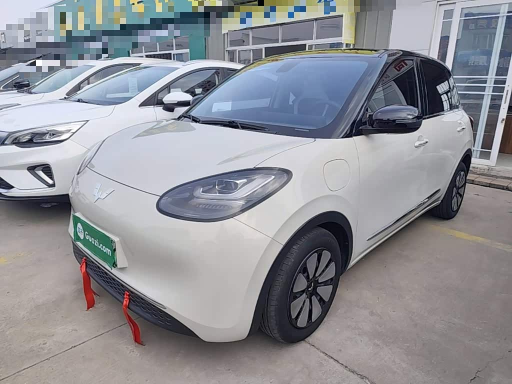 Wuling Binguo