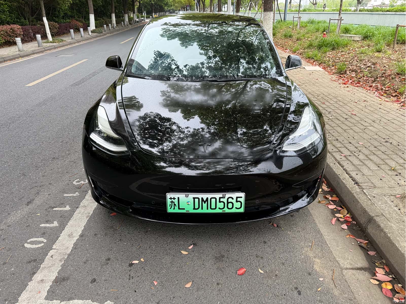 Tesla Model 3, 2020 2