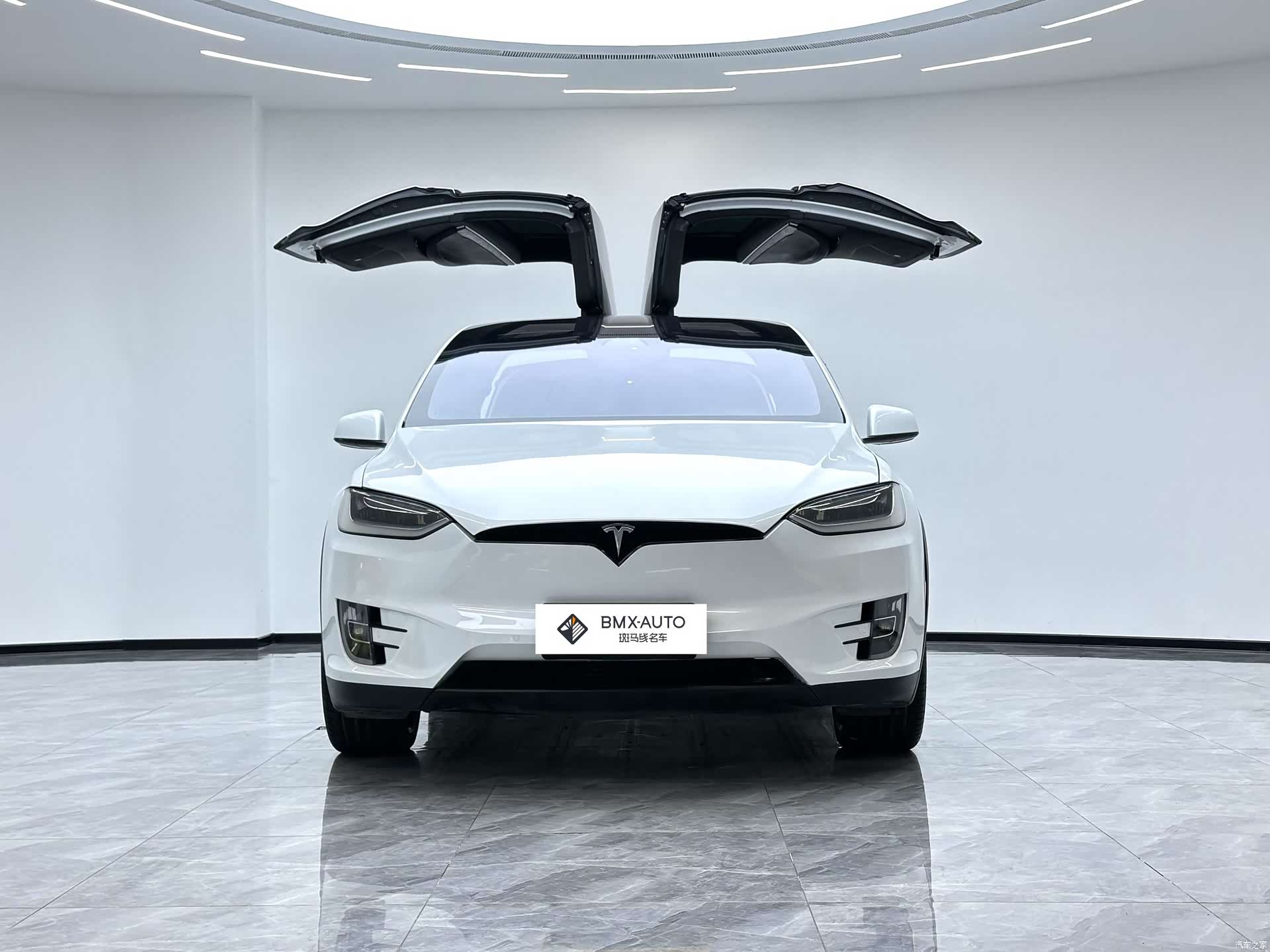 Tesla Model X, 2017 все фото