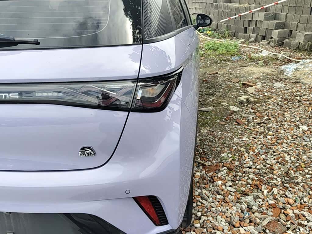BYD Dolphin, 2023 8