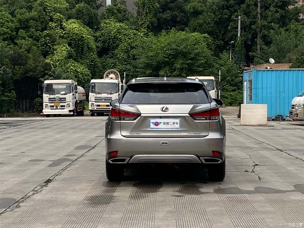 Lexus RX, 2020 все фото