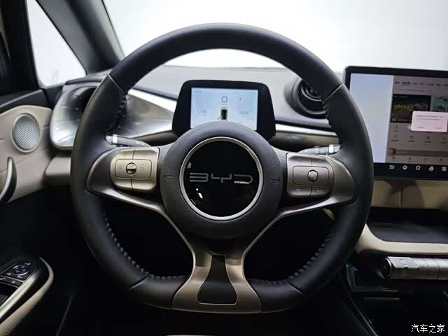 BYD Dolphin, 2024 15