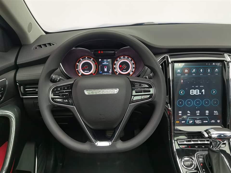 Leopaard Cheetah CS9