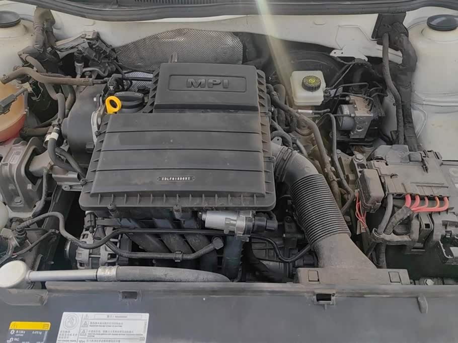 Volkswagen C-TREK Wei Collar