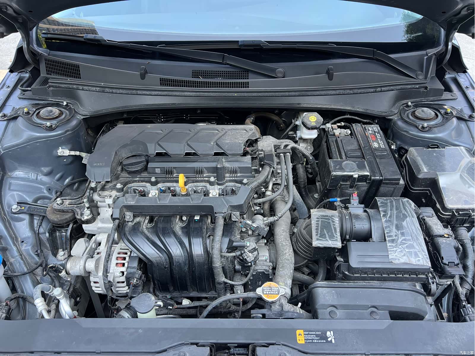 Hyundai Elantra, 2024 все фото