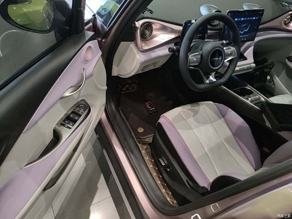 BYD Dolphin, 2024 16