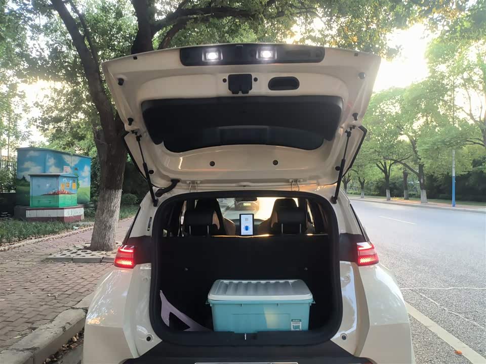 BYD Seagull