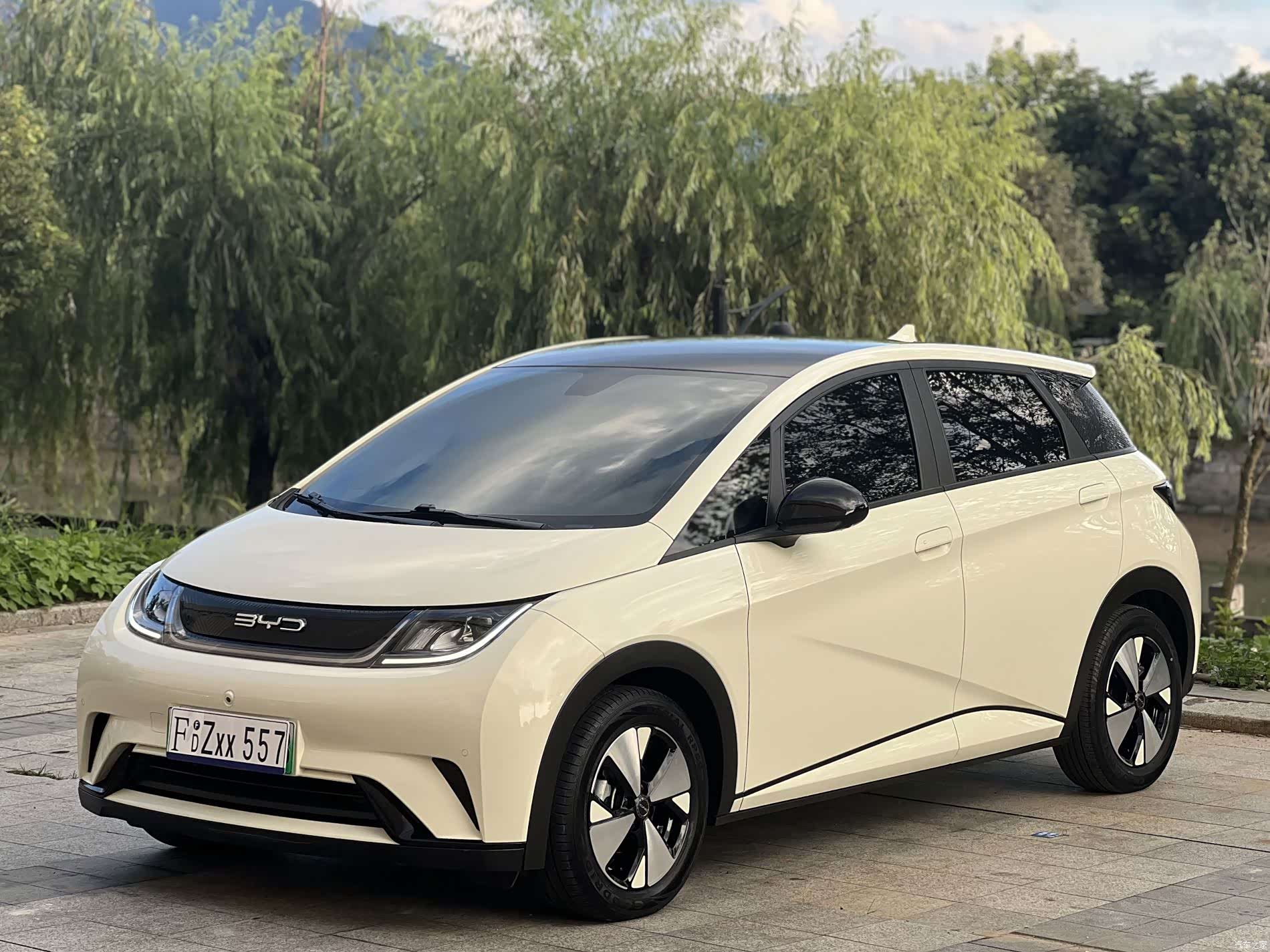 BYD Dolphin, 2023 1