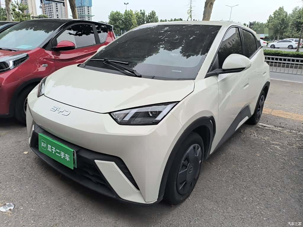 BYD Seagull, 2024 1