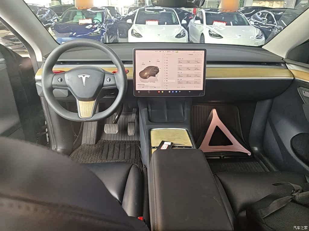 Tesla Model Y, 2022 10