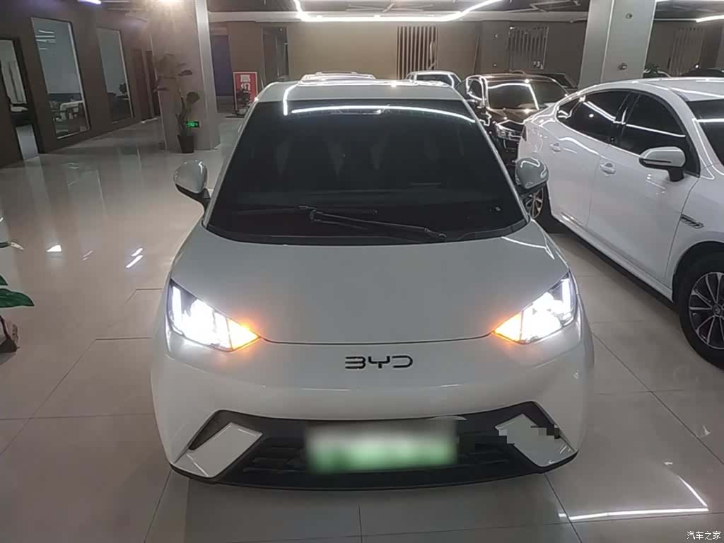 BYD Seagull, 2025 3