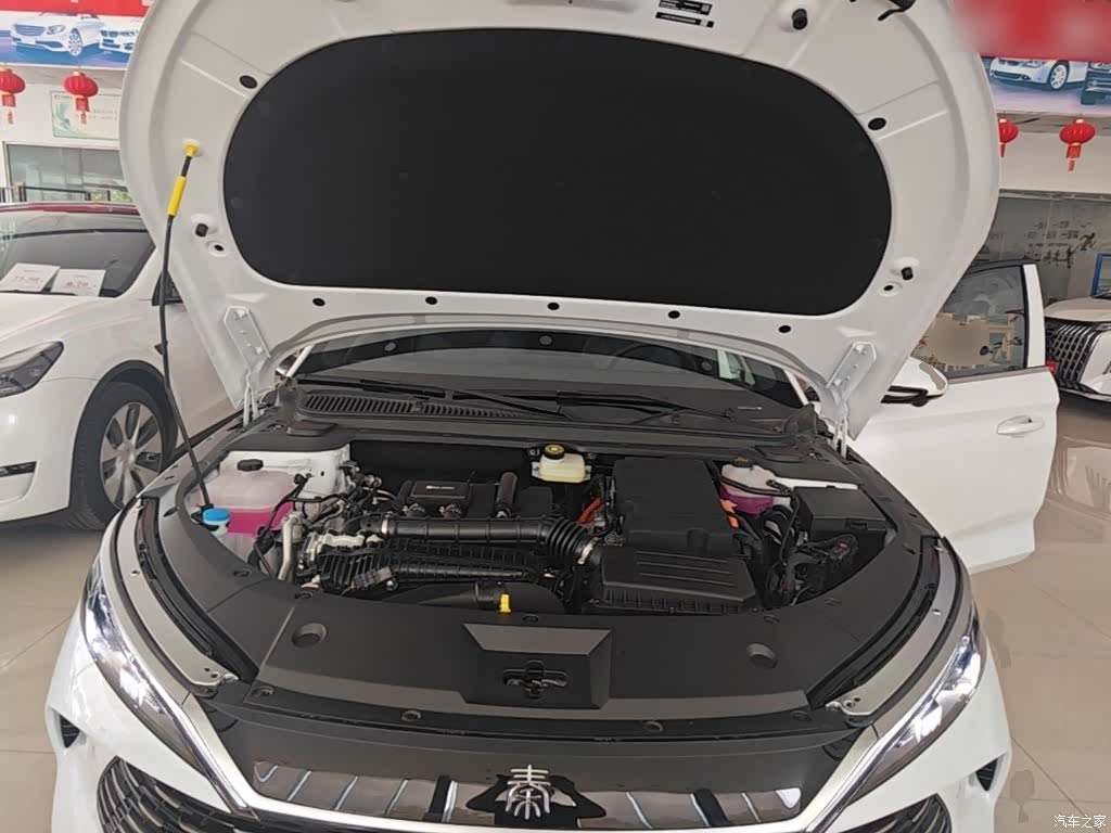BYD Qin, 2026 20