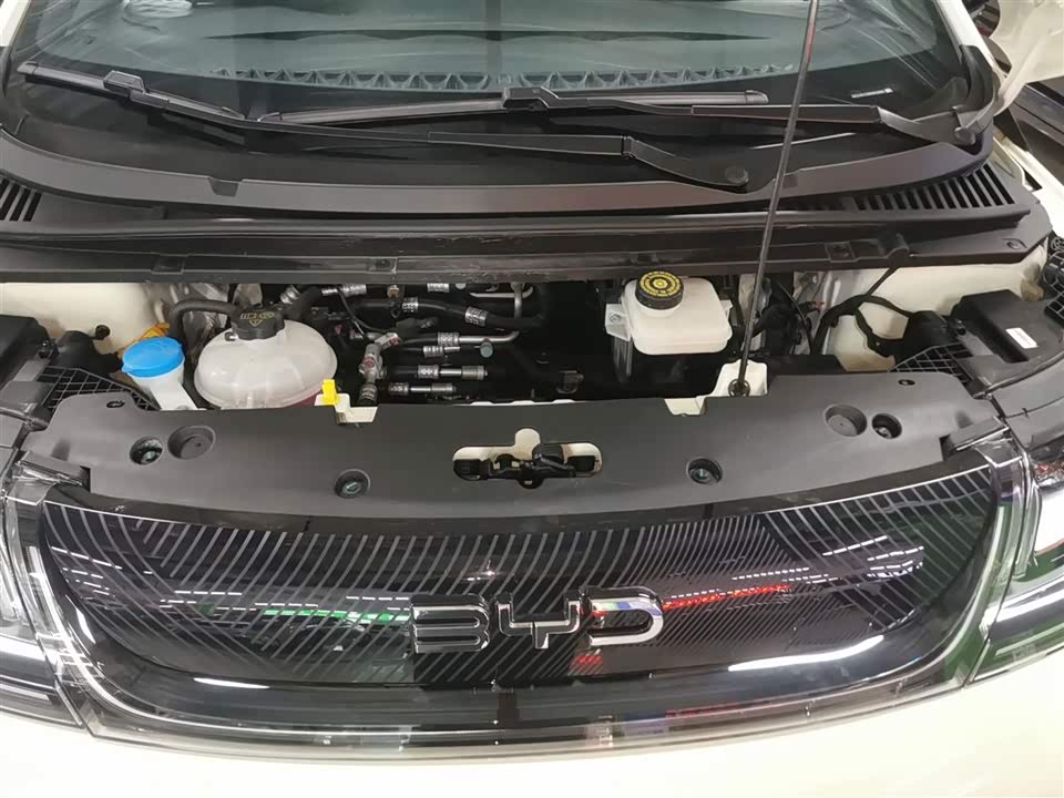 BYD dolphin BYD dolphin